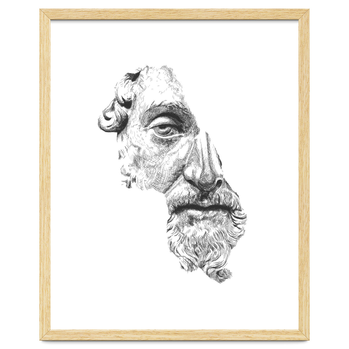 MARCUS AURELIUS ANTONINUS AUGUSTUS / black and white