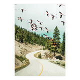 Flamingo Flight (Print Only) thumbnail