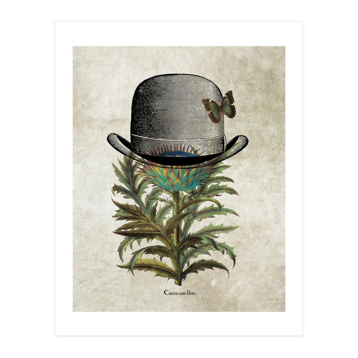 Bowler Print (Print Only)