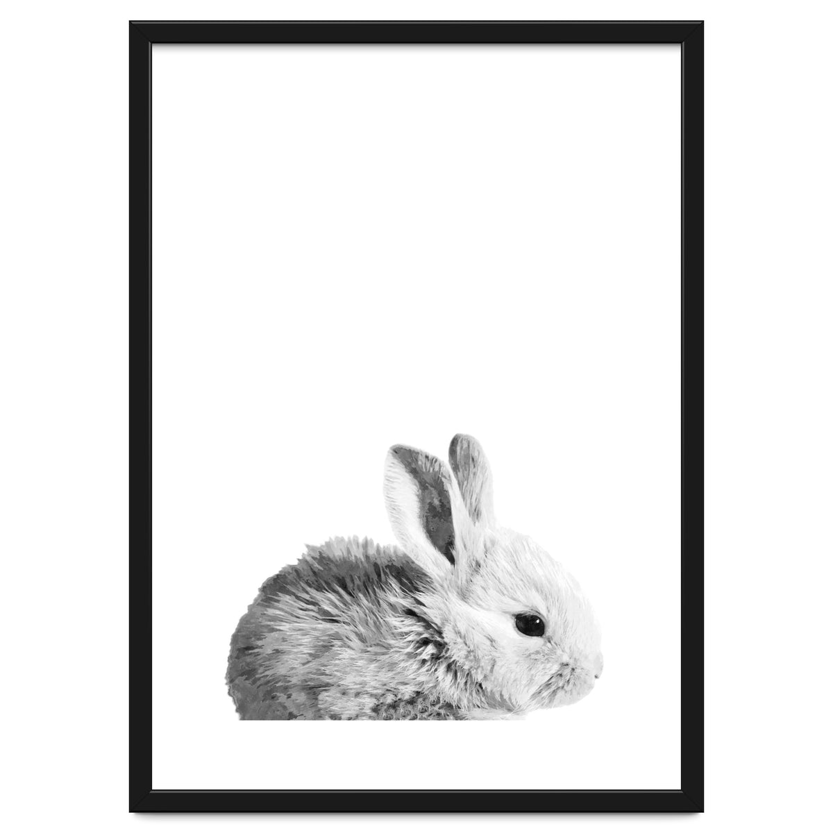 Black and White Bunny Portrait