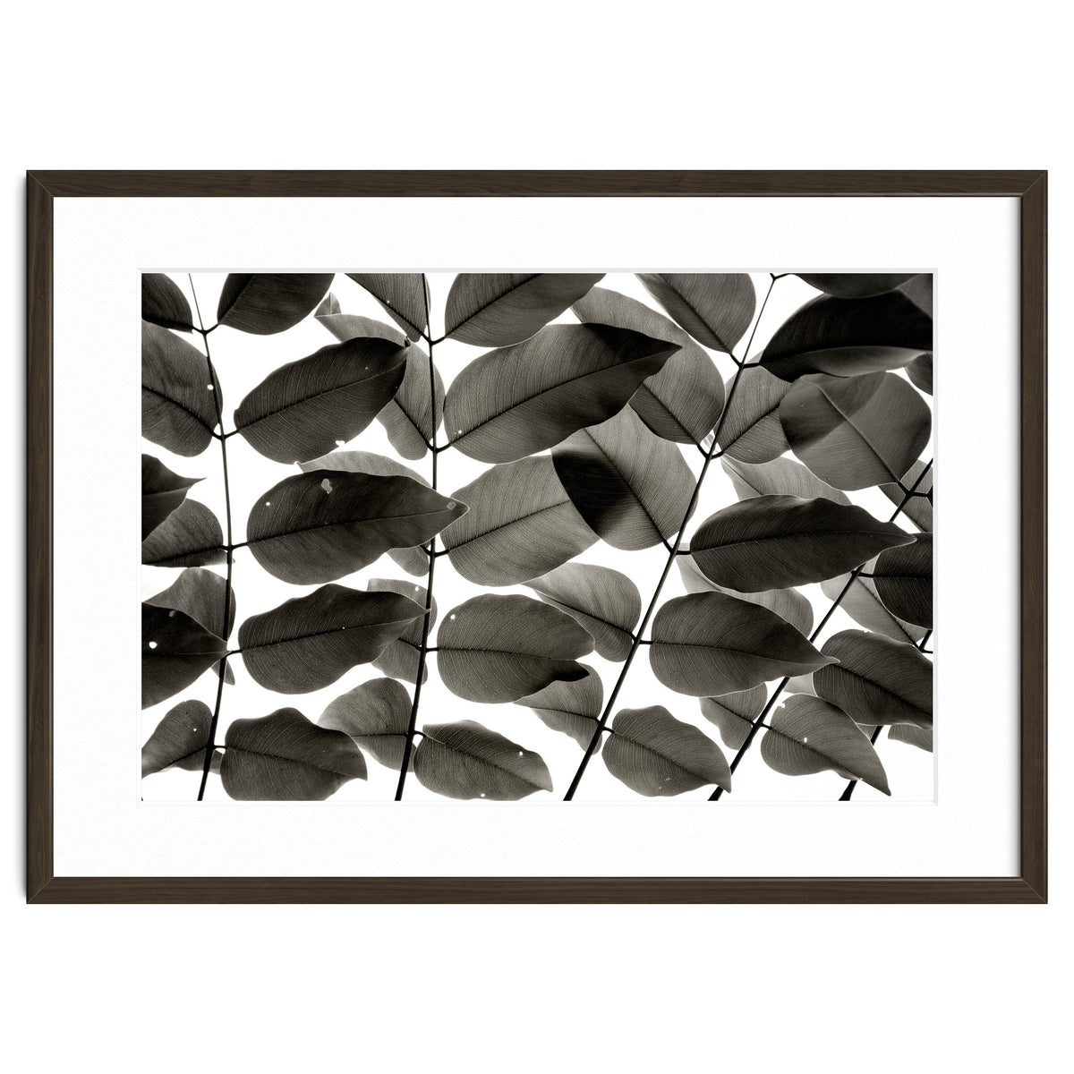 Branches and Leaves I