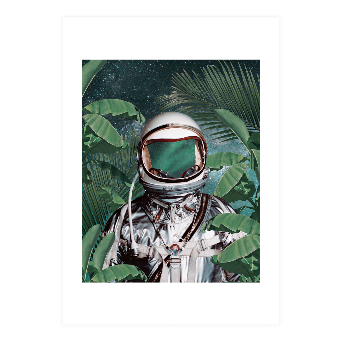 Paradise Found (Print Only)