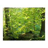 Spring Forrest (Print Only) thumbnail