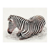 Zebra (Print Only) thumbnail