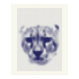 Lioness 2018 (Print Only) thumbnail