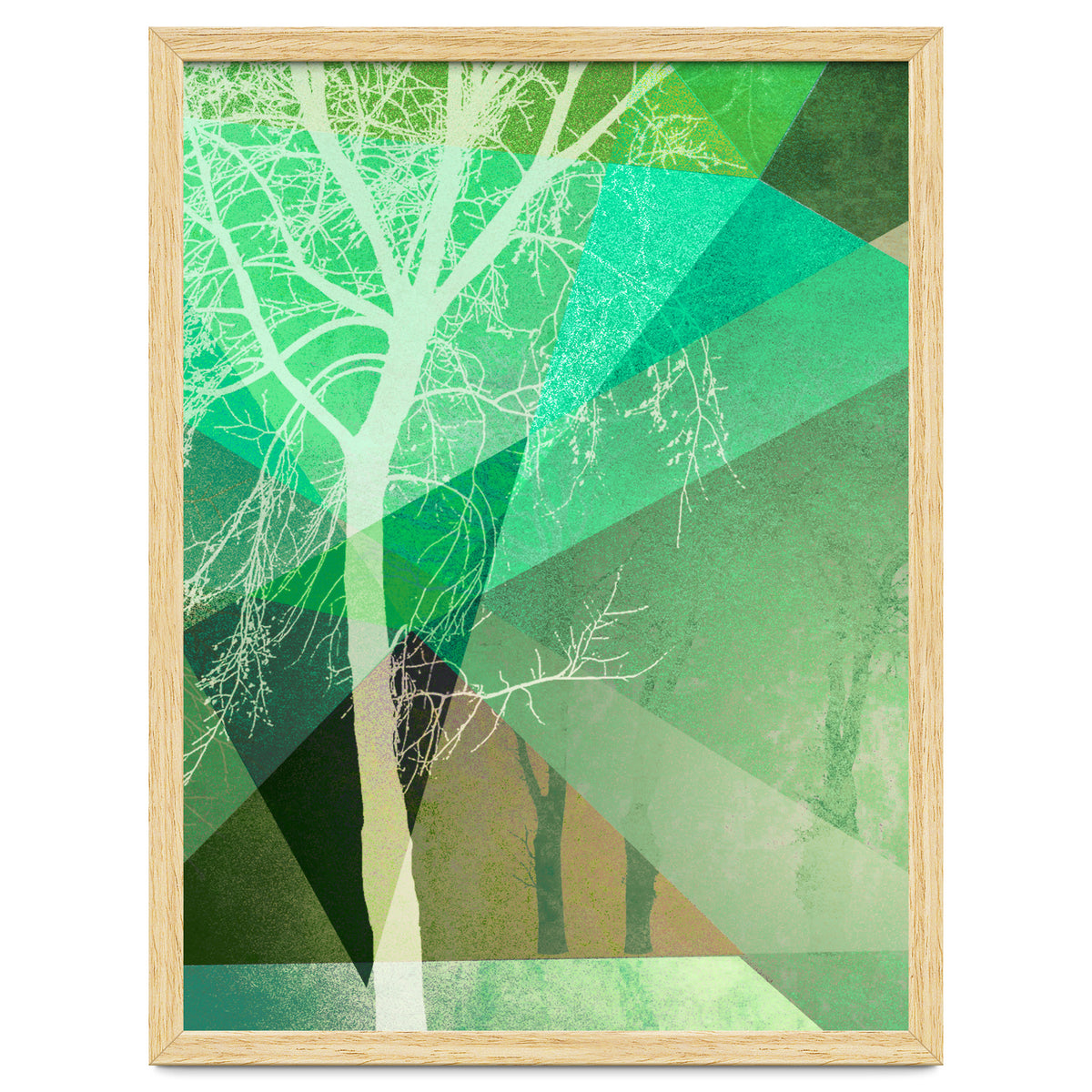 P22 B Trees And Triangles