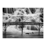 The falls (Print Only) thumbnail