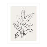 Banana Leafs Drawing (Print Only) thumbnail