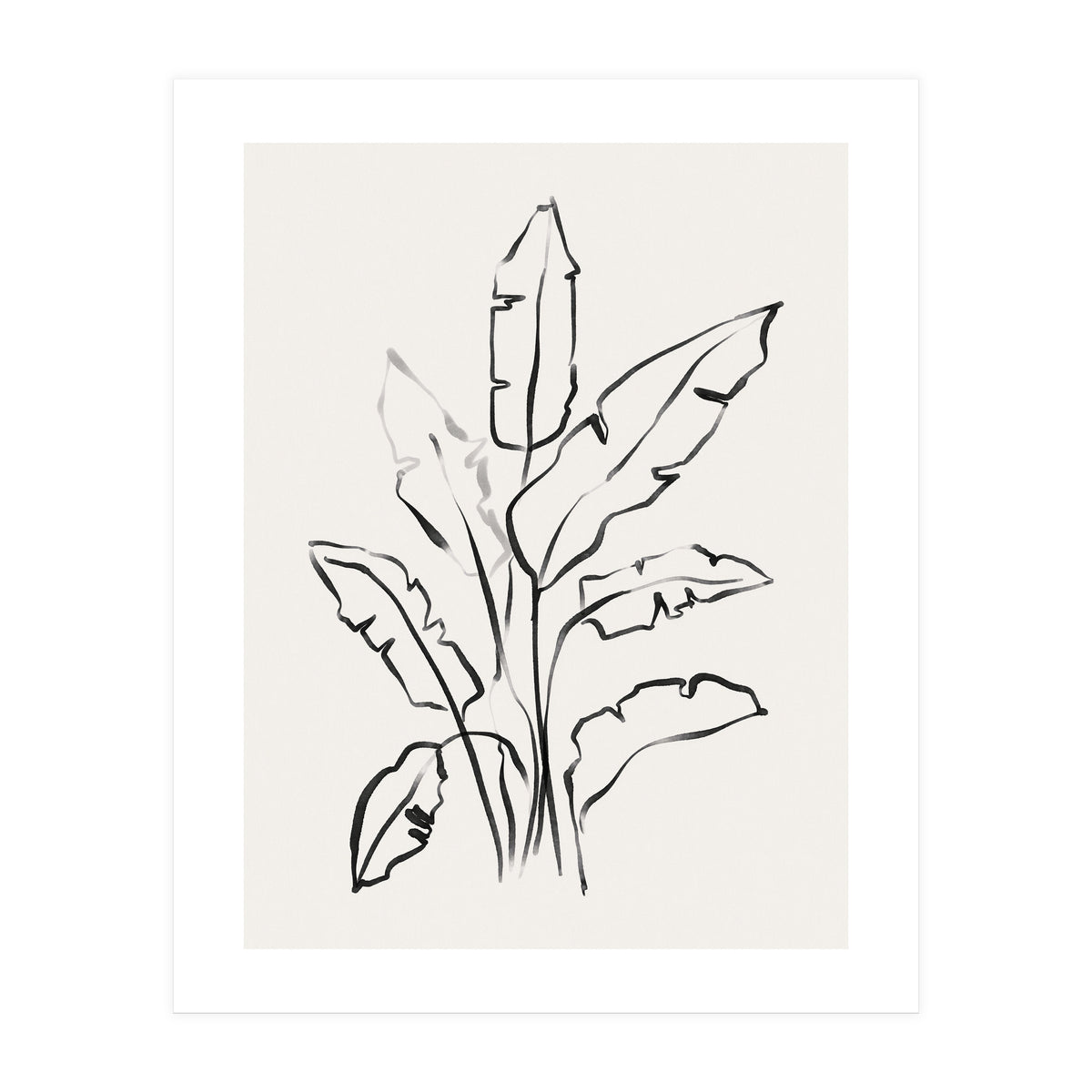 Banana Leafs Drawing (Print Only)