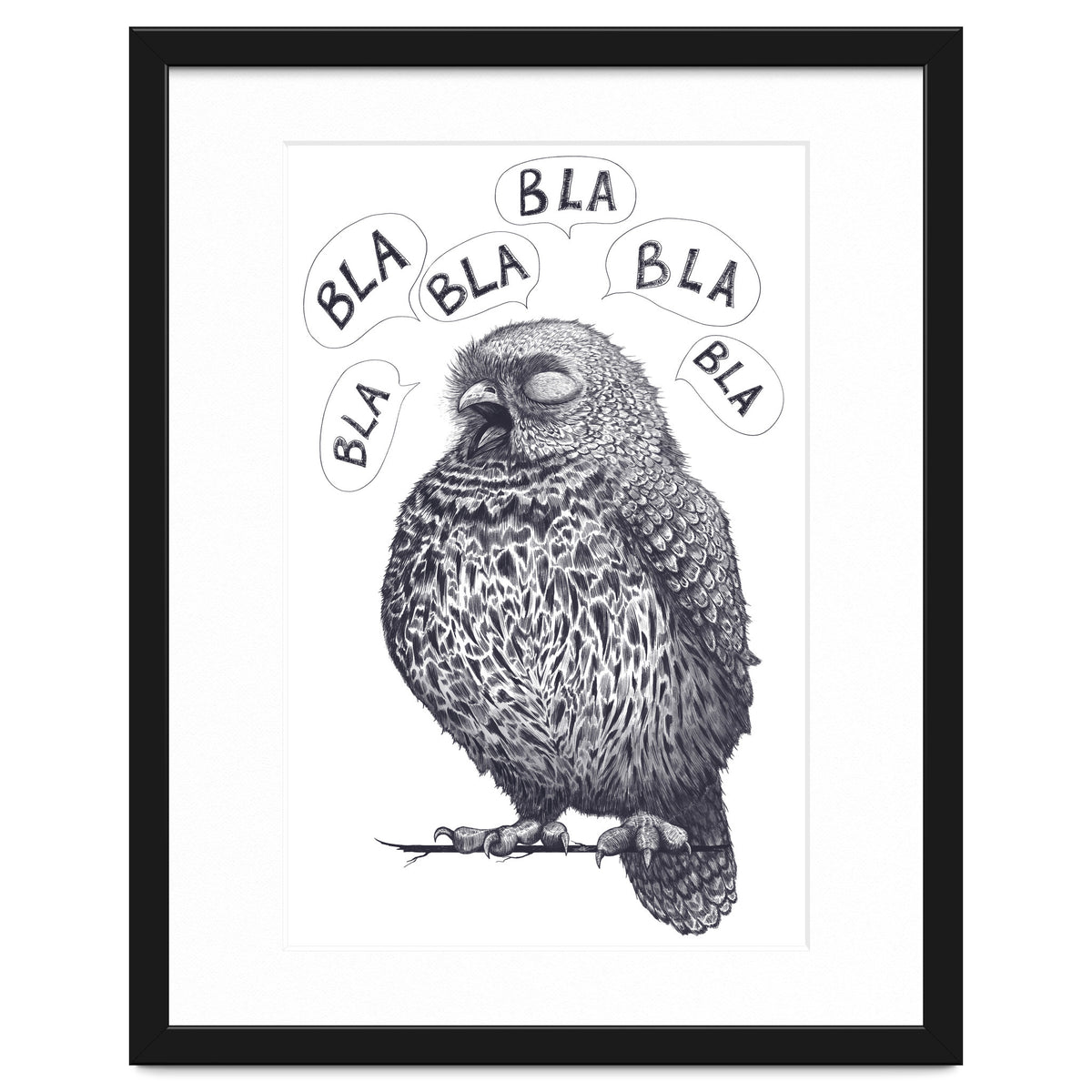 Owl Bla Bla Bla
