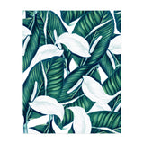 Tropical Winter (Print Only) thumbnail