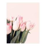 Pink Tulips (Print Only) thumbnail
