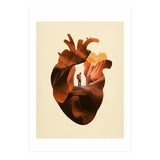 Heart Explorer (Print Only) thumbnail