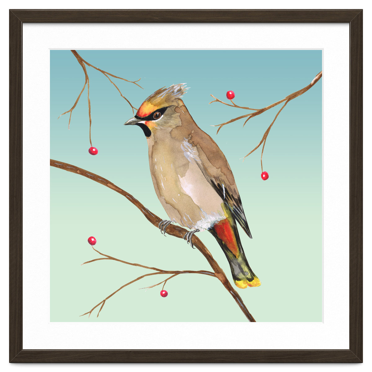 Bohemian waxwing