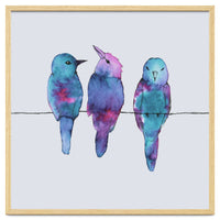 Three birds on a wire