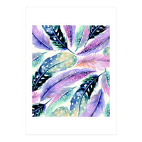 Wild Feathers (Print Only)