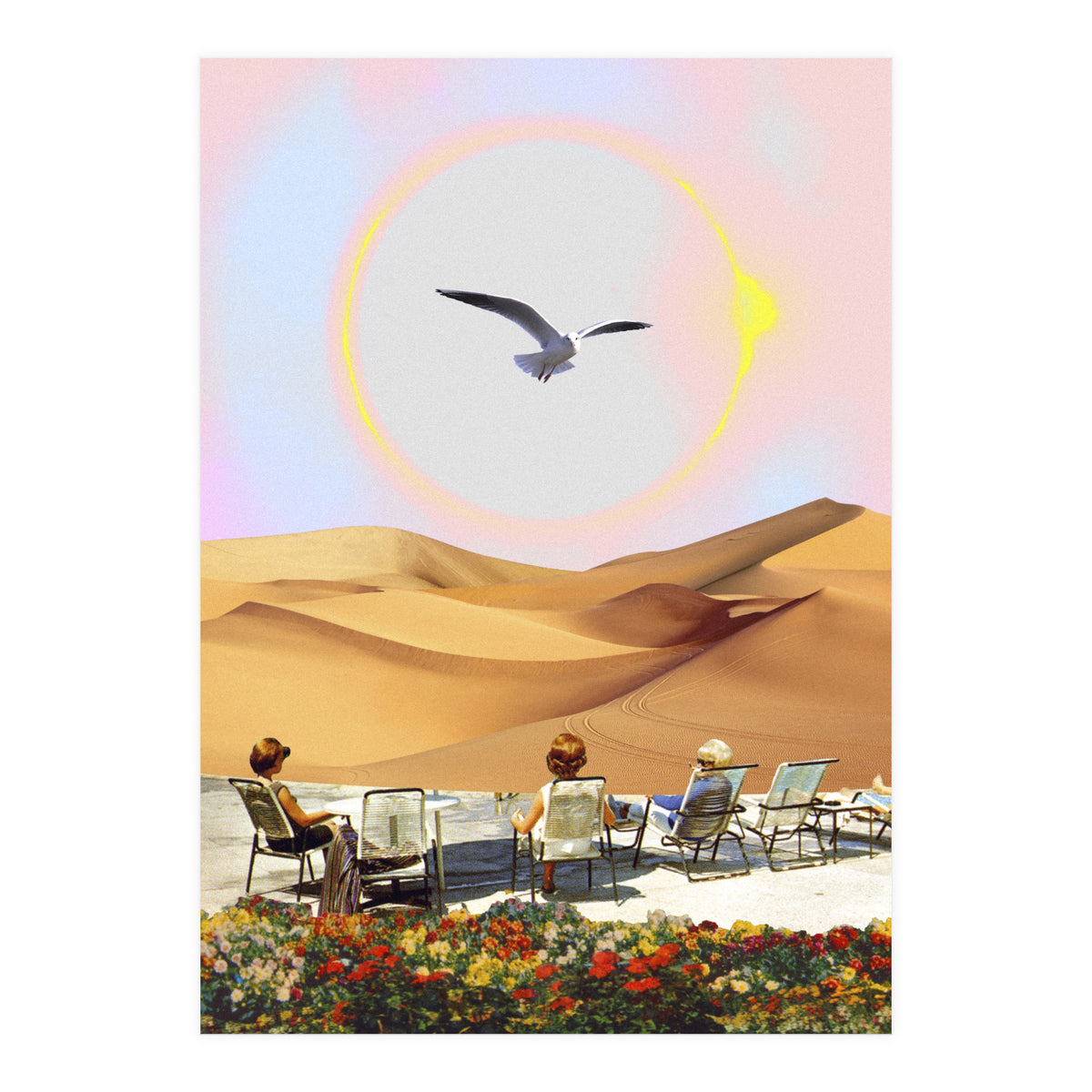 Birdwatching 2.0. (Print Only)