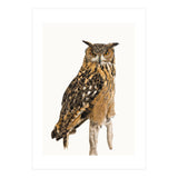 Cc Birds 11 (Print Only) thumbnail