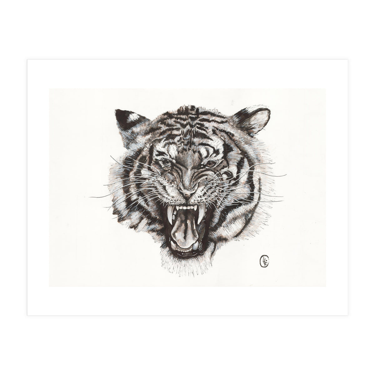 Tiger (Print Only)