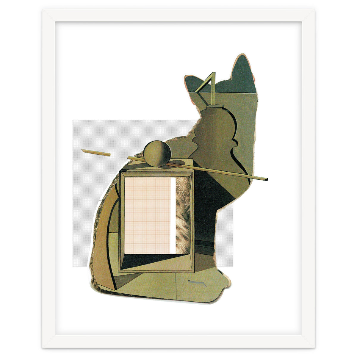 Catomania · Aus Den Sieben Leben Einer Katze · Morandi´s Cat