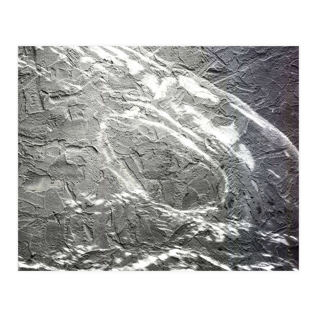 Outsiders  (Print Only)