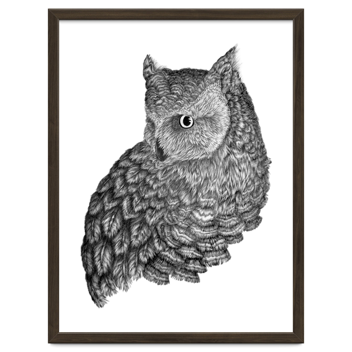 A Friend For Forsythe