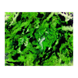 More Distinguishing Marks (Print Only) thumbnail
