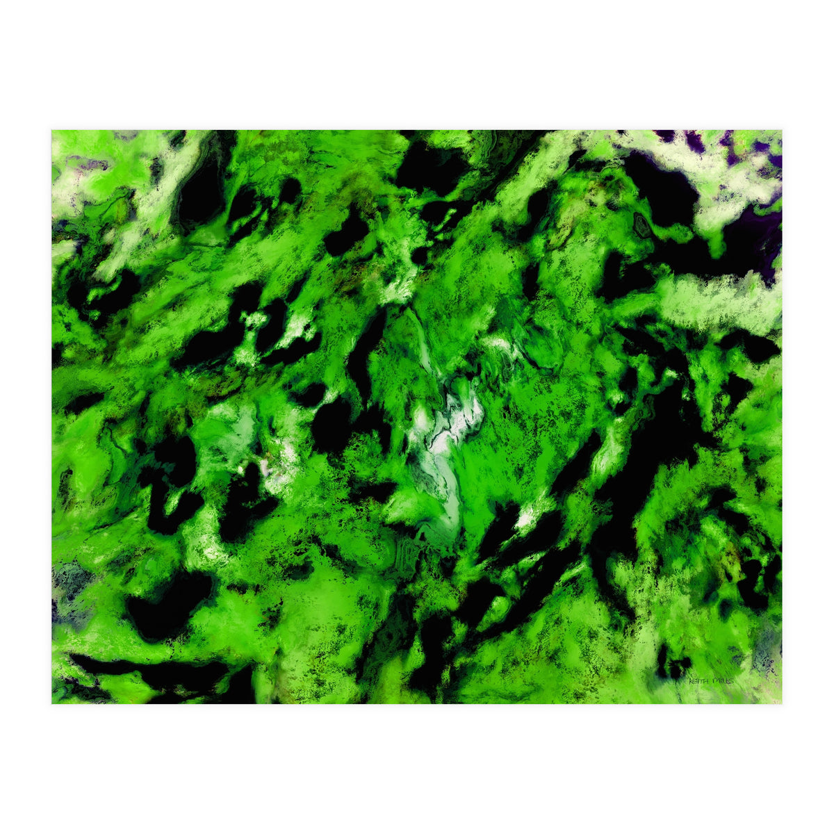 More Distinguishing Marks (Print Only)