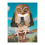 Just Say Cheese (Print Only) thumbnail