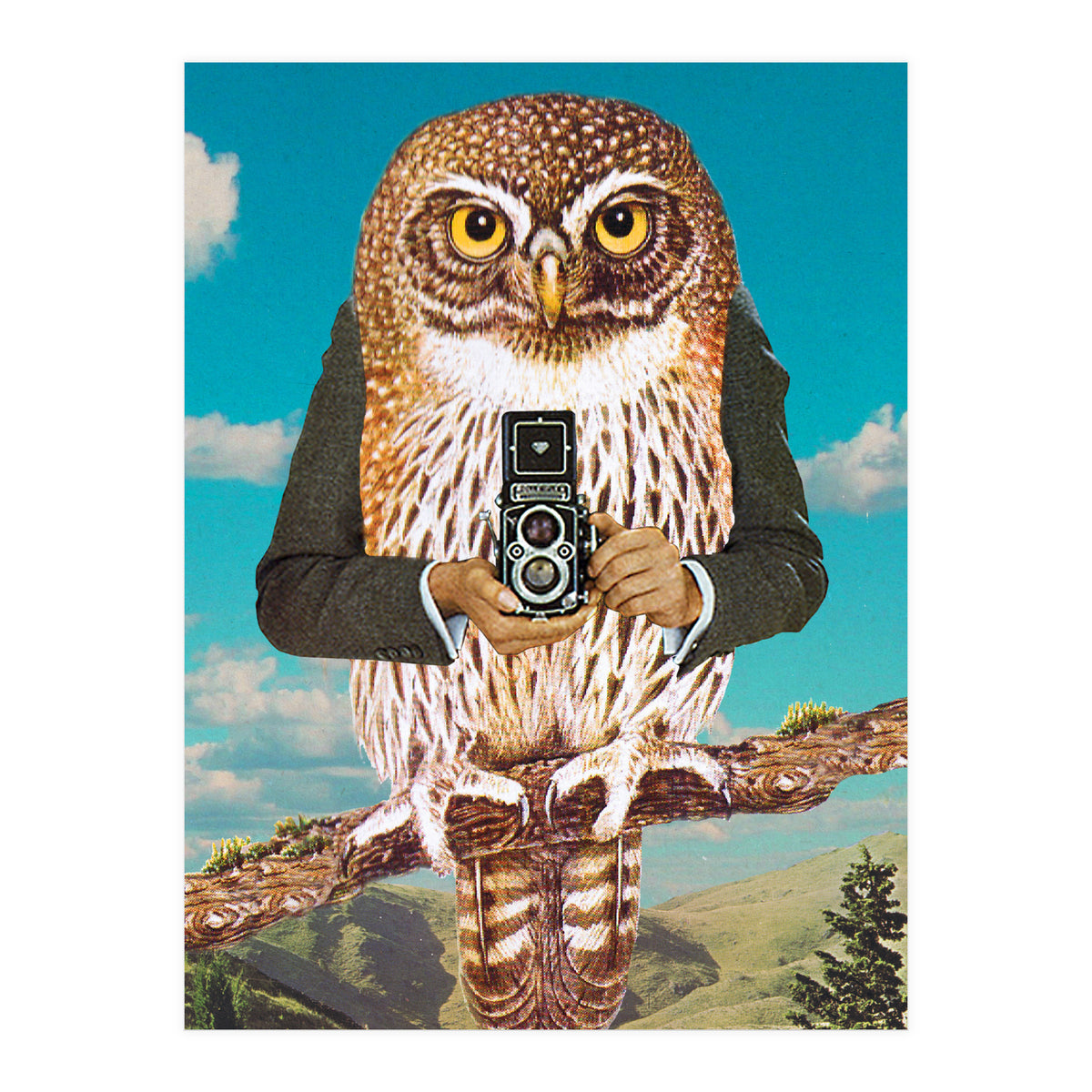 Just Say Cheese (Print Only)