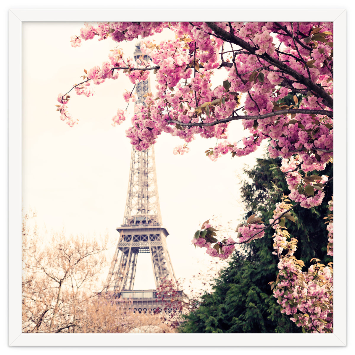 Paris in the Spring