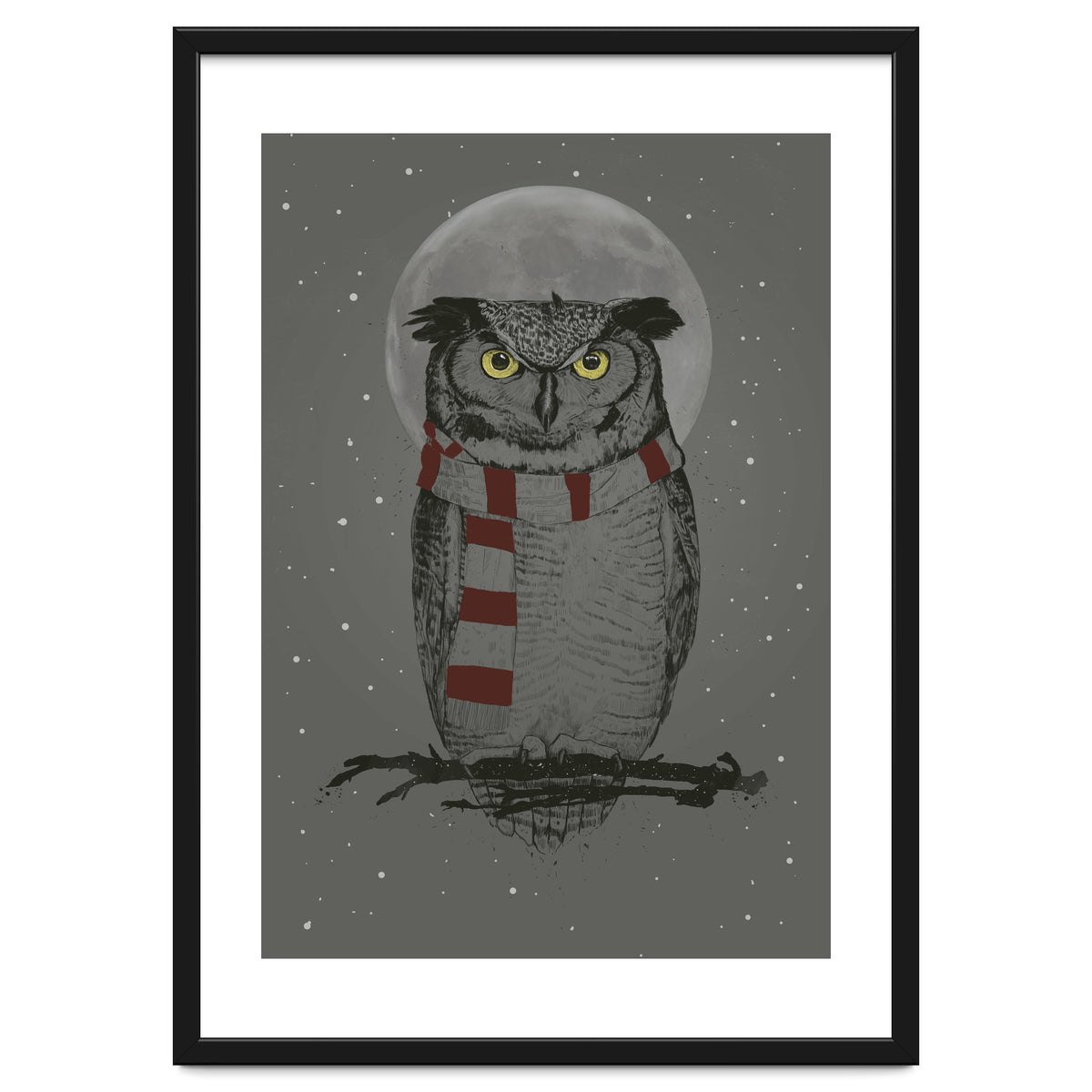 Winter Owl