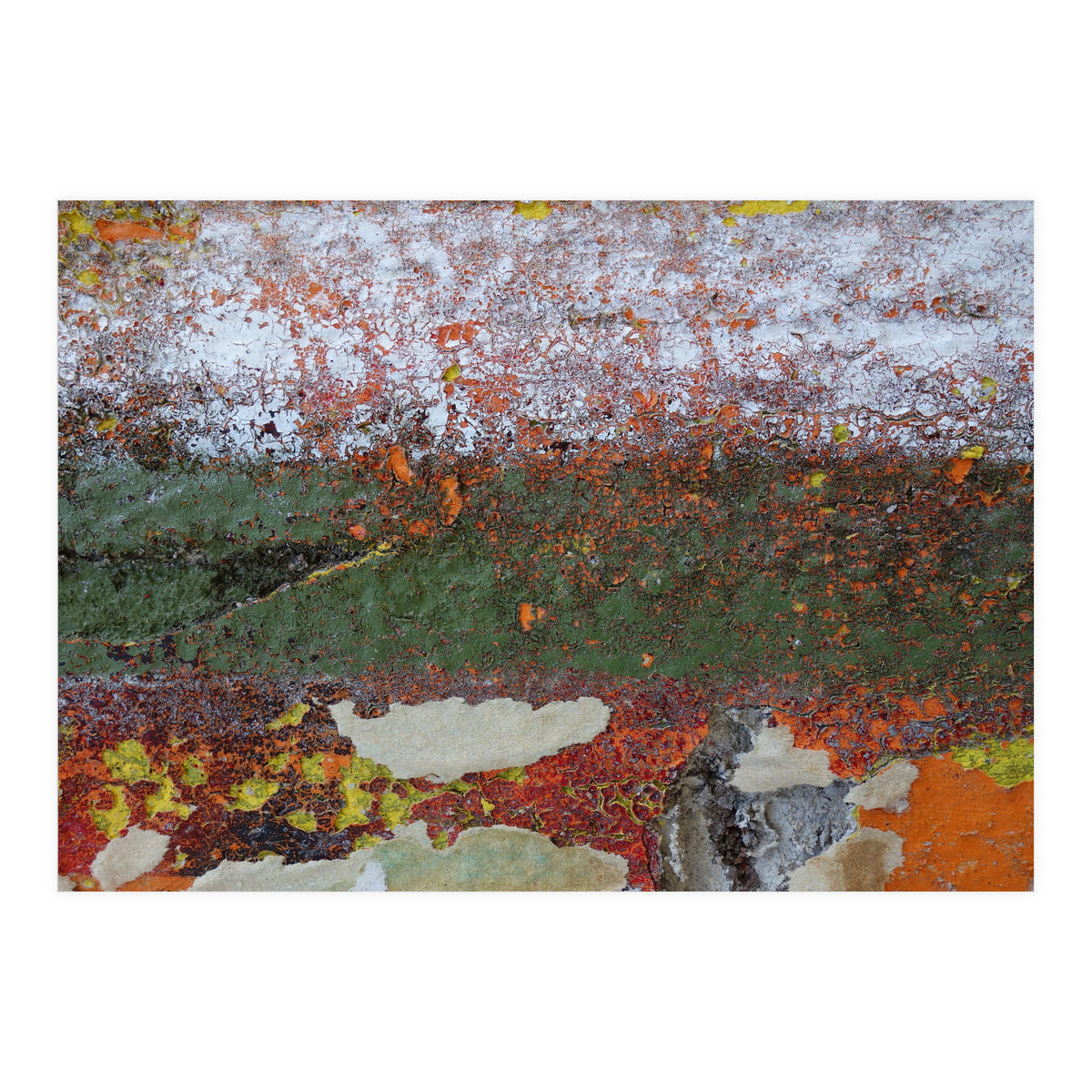 North South (Print Only)