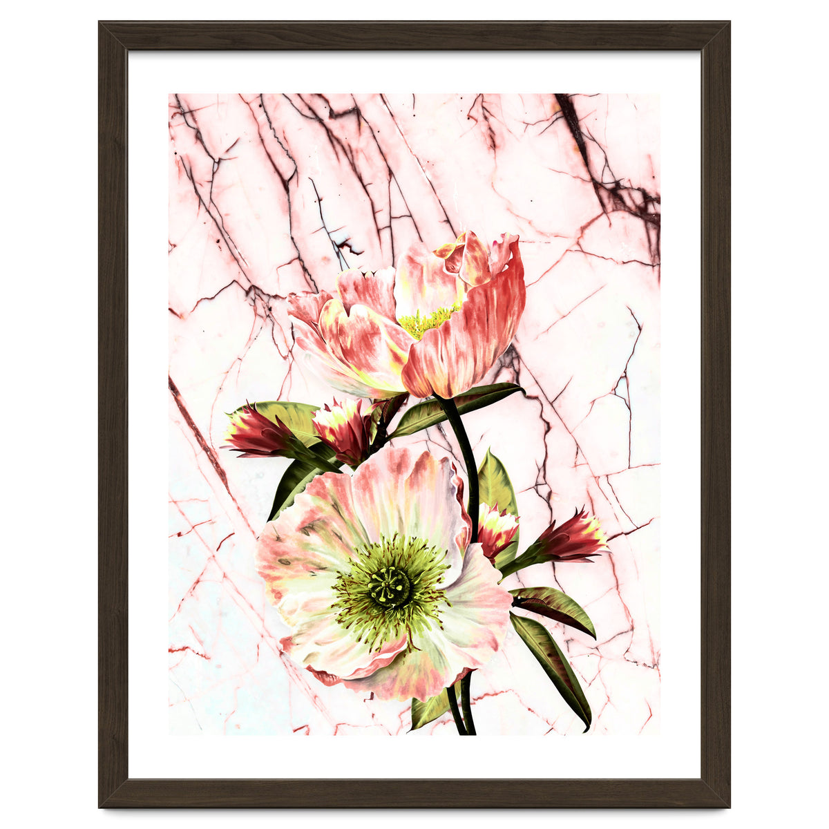 Flowering on pink marble