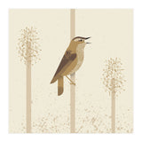 Sedge Warbler (Print Only) thumbnail