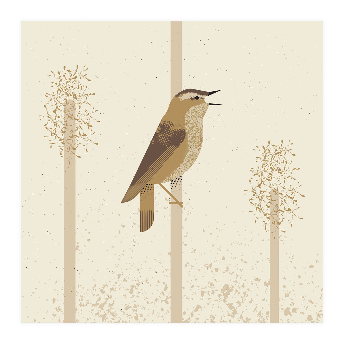 Sedge Warbler (Print Only)