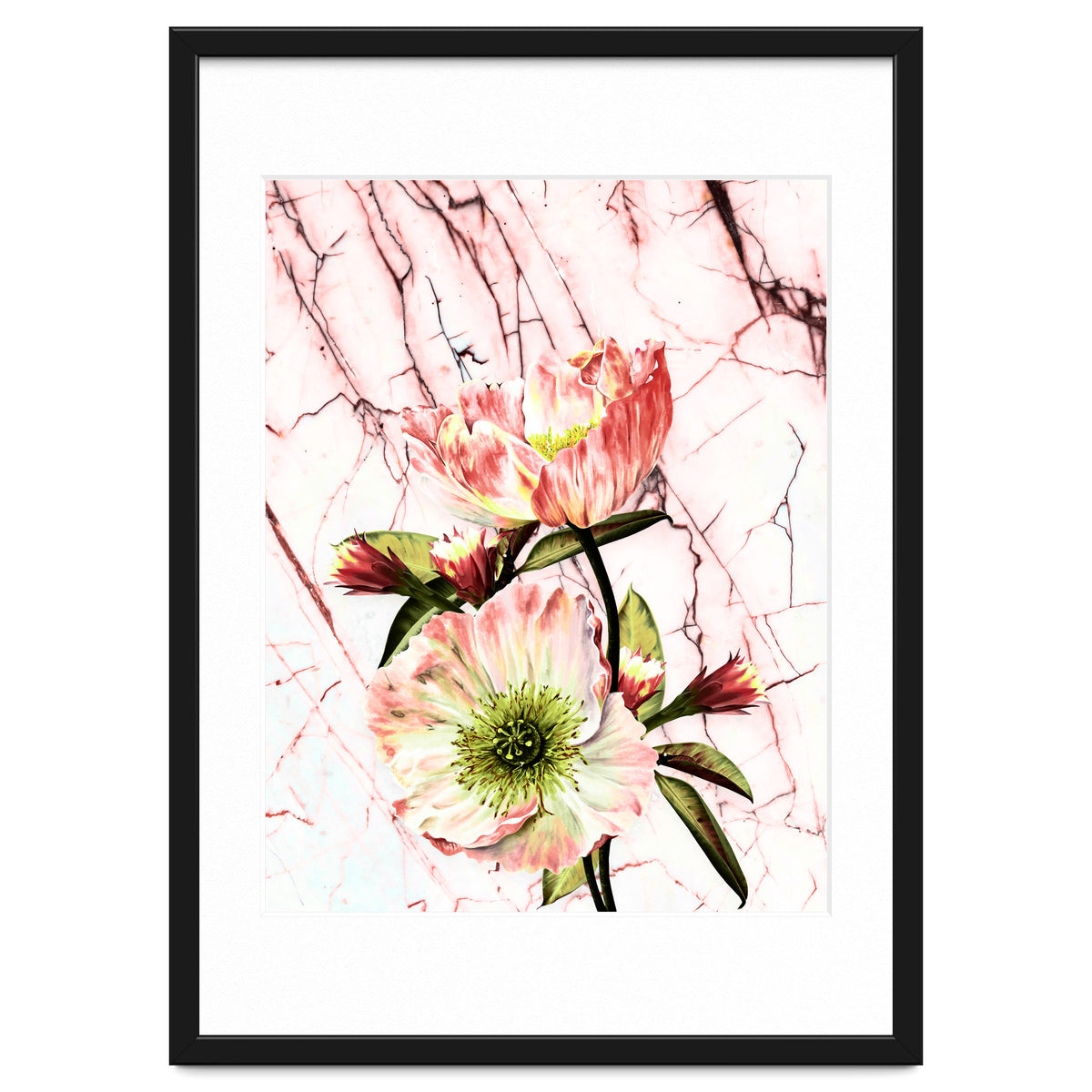 Flowering on pink marble