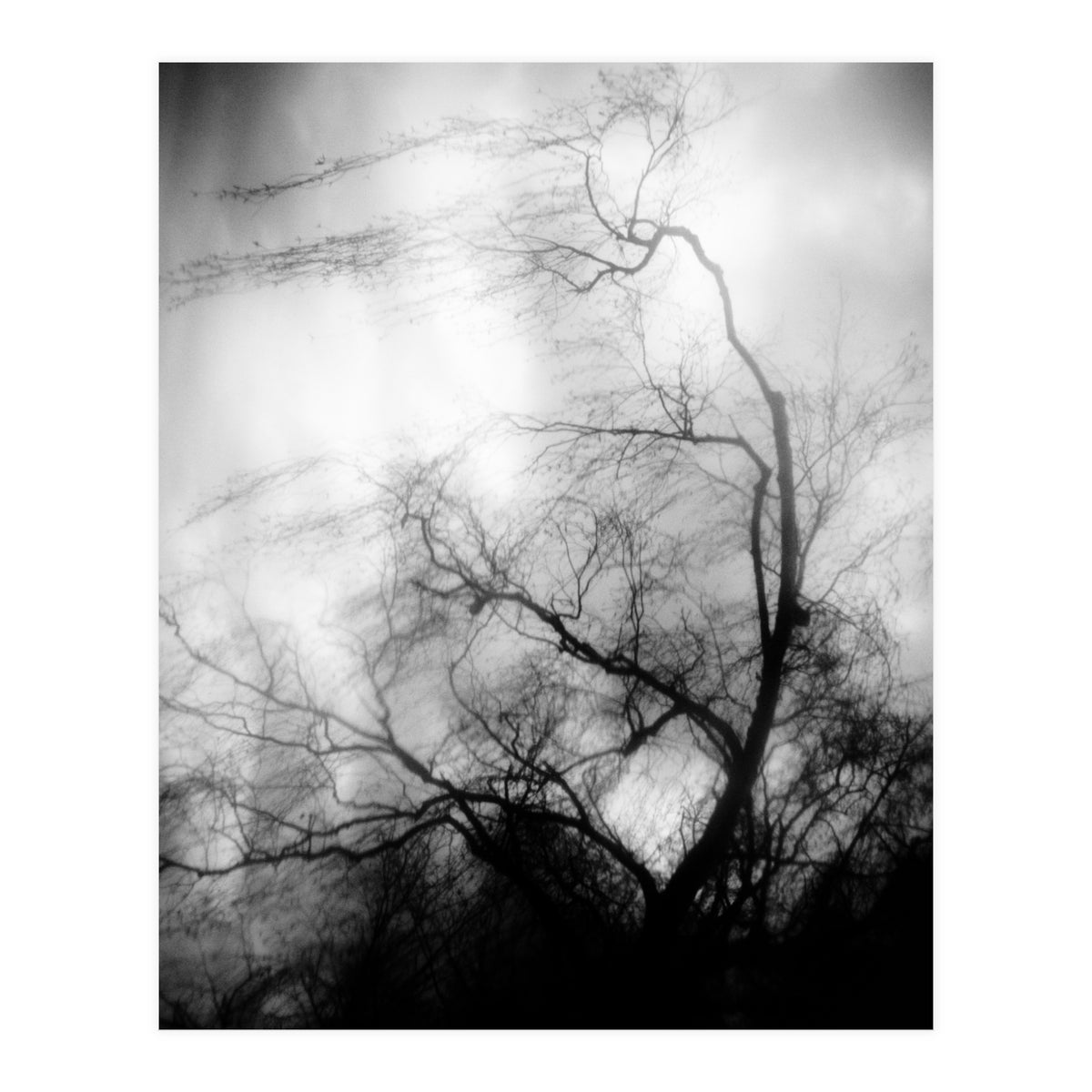 love wish (Print Only)