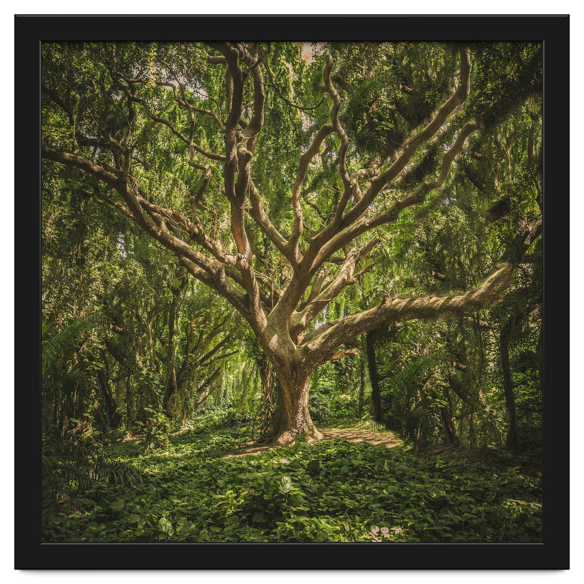 Spirits inside the wood