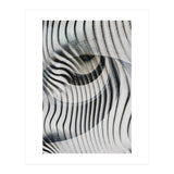 White Eyes  (Print Only) thumbnail