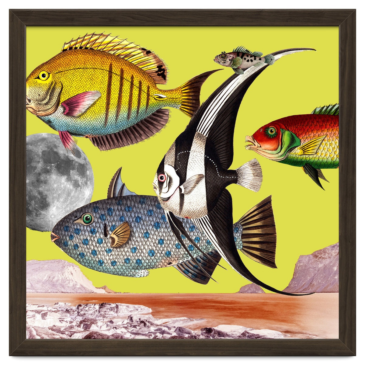 Plenty Of Fish In The Sea Yellow