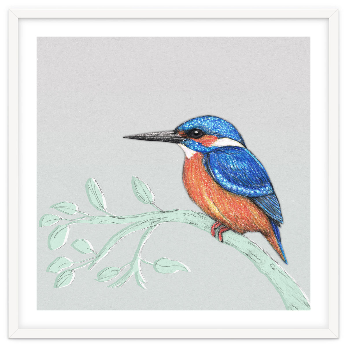 The kingfisher