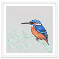 The kingfisher