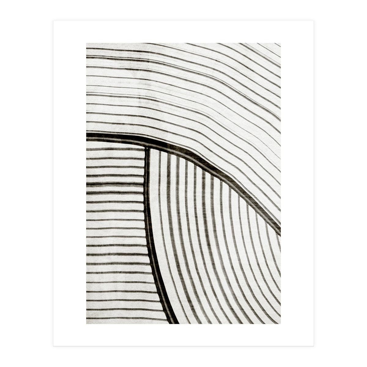 Frequencia4  (Print Only)