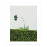 Urban Plant (Print Only) thumbnail