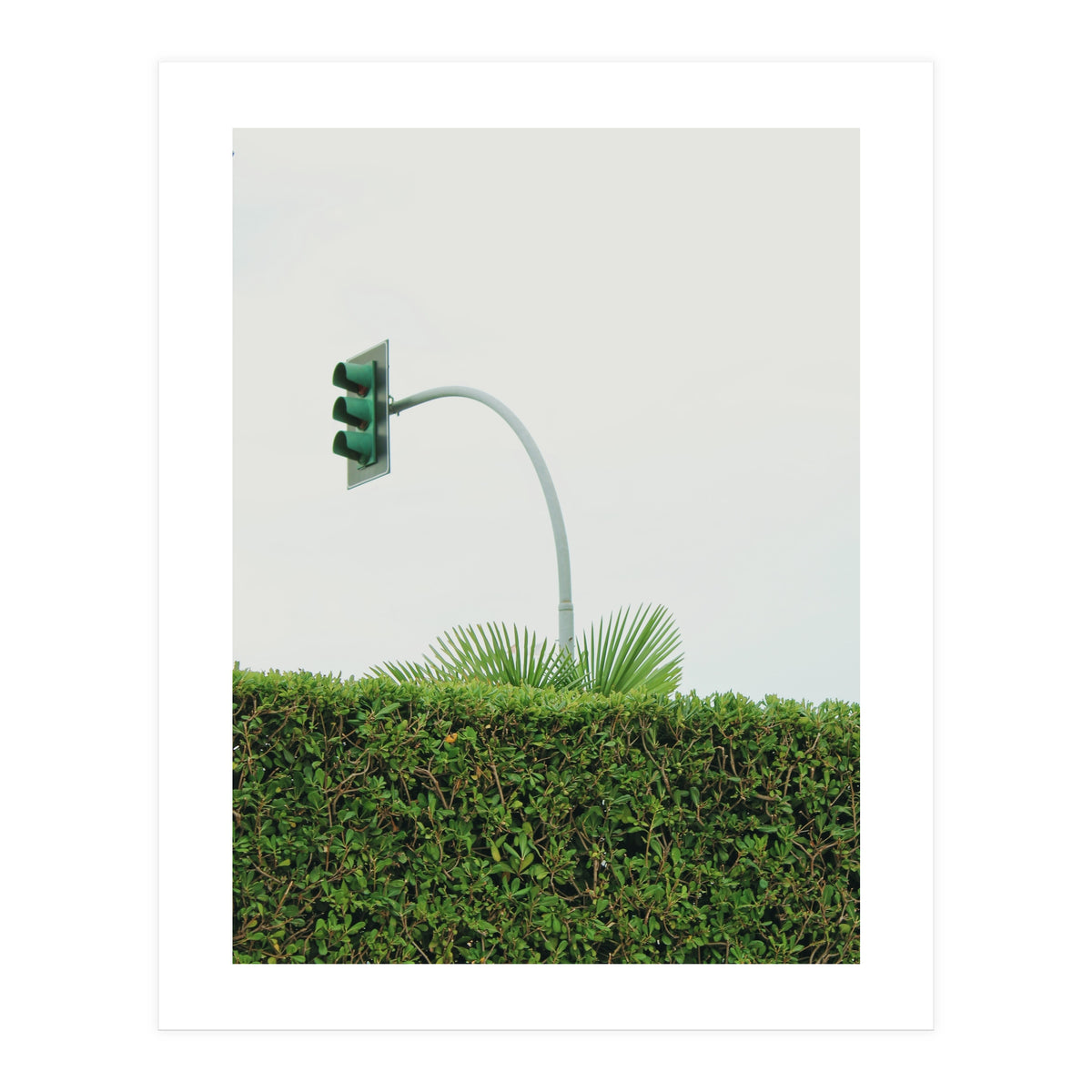 Urban Plant (Print Only)