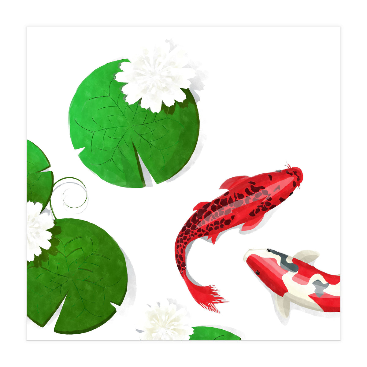 Watercolor Koi Fish Background (Print Only)