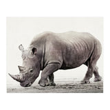 Rhino (Print Only) thumbnail