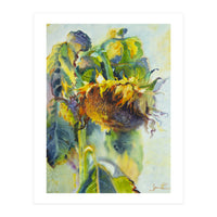 Sunflower Art. Sunny day sunflowers Art (Print Only)