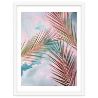 Palms + Sky